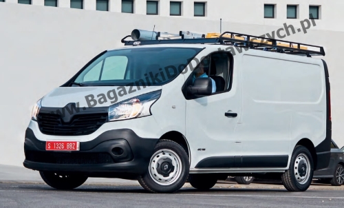 Platform ładunkowa duza sklep chorzow bagaznikidodostawczych  WW.jpg